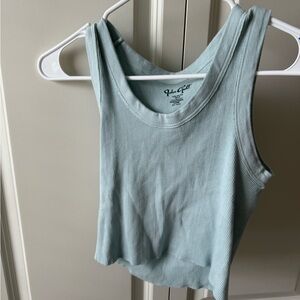 John Galt Brandy Melville Crop Top